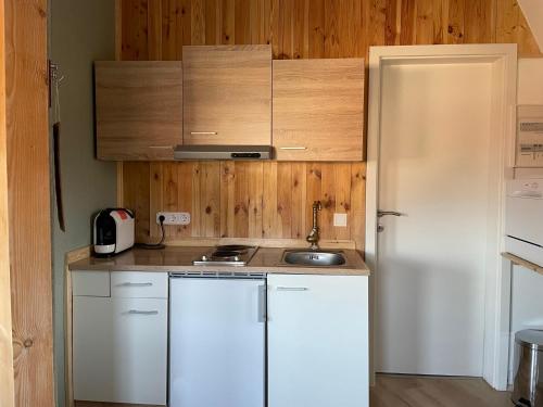 La cuisine est équipée d'un réfrigérateur blanc et d'un évier. dans l'établissement Dirndlhaus, à Kirchberg an der Pielach