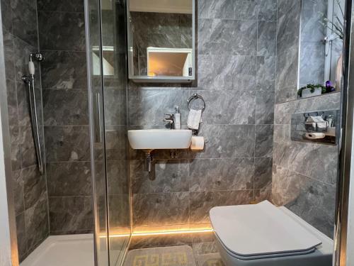a bathroom with a toilet and a sink and a shower at En-suite cheerful room. in Hanworth