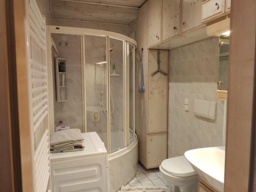 a bathroom with a shower and a toilet and a sink at Vintage Apartment in Graz