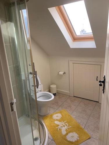 a bathroom with a glass shower and a toilet at Serenity Cottage in Lisnaskea