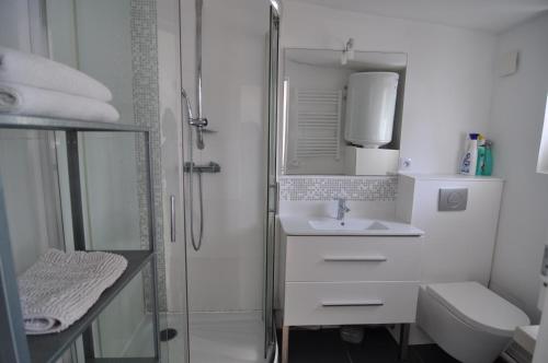 a bathroom with a shower and a sink and a toilet at Petite maisonnette 9mn à pied gare, 5 mn plage ! in Pornichet