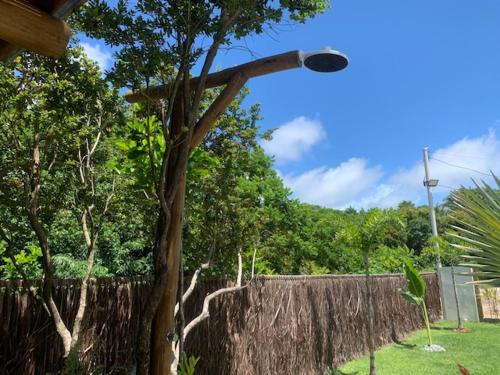 a street light next to a tree next to a fence at Bons Ventos Camping e Glamping in Barra Grande