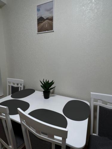 a dining room table and chairs with a potted plant on it at Hi-tech aparts in Chişinău