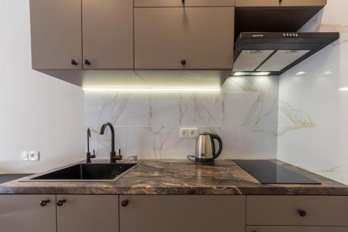 a kitchen with a sink and a counter top at DayFlat Apartments Maidan Area in Kyiv