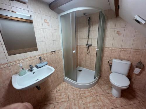 a bathroom with a shower and a toilet and a sink at Chalupy v Podkrkonoší- Chalupa Oto, Chalupa Prade in Hostinné