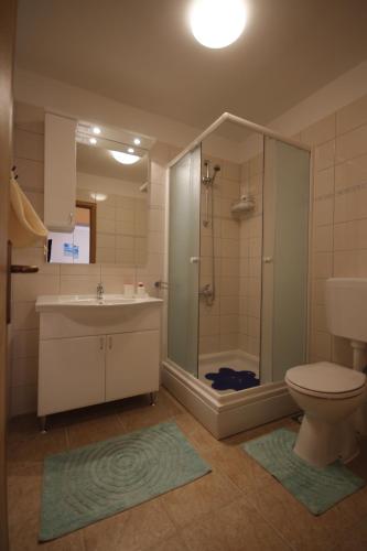 a bathroom with a shower and a toilet and a sink at ApartHotel Viola in Pula