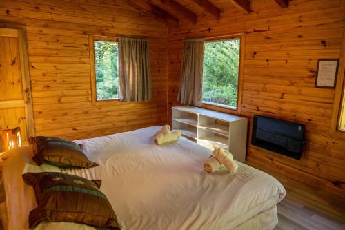 Dormitorio con cama y TV en una cabina en BOG Budas del Bosque en Villa La Angostura