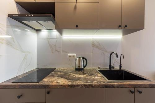 una cucina con lavandino e piano di lavoro di Design Apartment on Mykhailivskyi Ln. 4 a Kiev