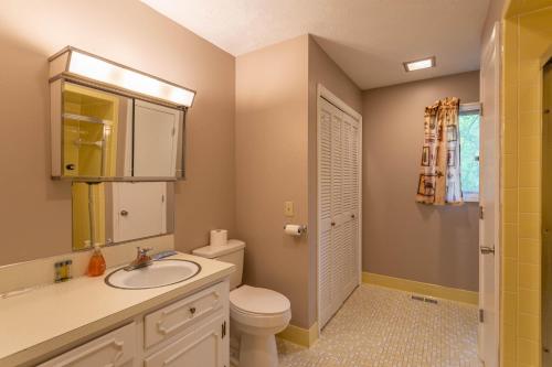 a bathroom with a sink and a toilet and a mirror at Bucky's Hideaway in Todd
