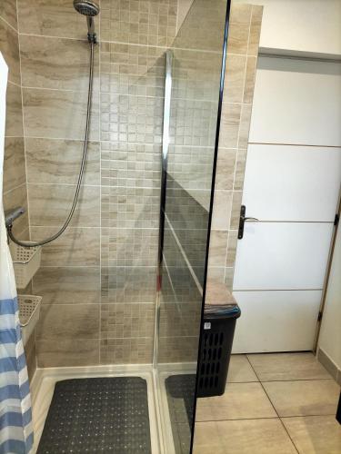 a shower with a glass door in a bathroom at Gîte les Dames du Quint 3 étoiles in Baume-les-Dames