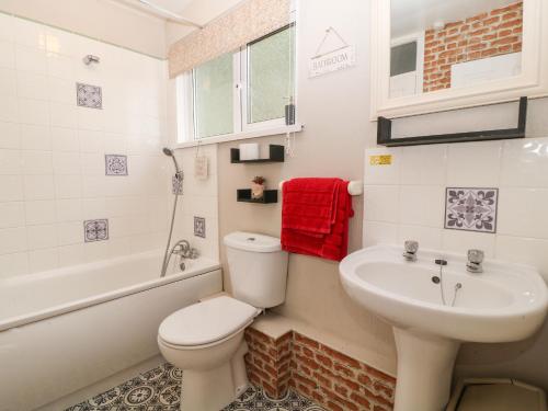 a bathroom with a white toilet and a sink at Valley Lodge 55 in Callington