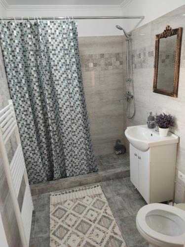 a bathroom with a shower curtain and a toilet at Castel in Ciurbeşti