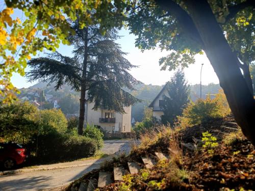 a house on a hill with a tree and a road at Nena & Rale Rooms in Donji Milanovac