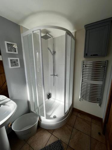 een badkamer met een douche, een toilet en een wastafel bij Pear Tree Cottage in Shrewsbury