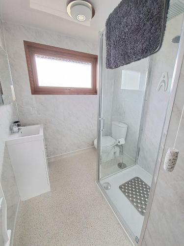 a small bathroom with a shower and a toilet at River Retreat - Norfolk Broads in Brundall