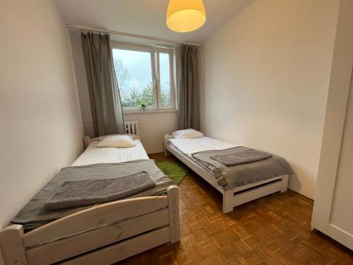 2 łóżka pojedyncze w pokoju z oknem w obiekcie Nest Budget - nocleg dla firm w Toruniu