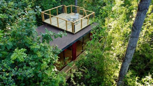 an overhead view of a house in the trees at Bosque Vivo in Recinto