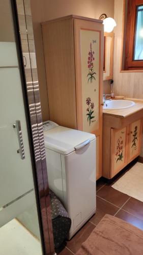 une petite salle de bain avec toilettes et lavabo dans l'établissement Appartement dans petit chalet, à Châtel