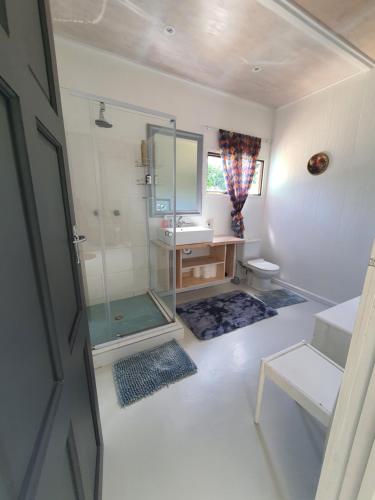 a bathroom with a shower and a sink and a toilet at Beautiful garden cottage in Stormsrivier