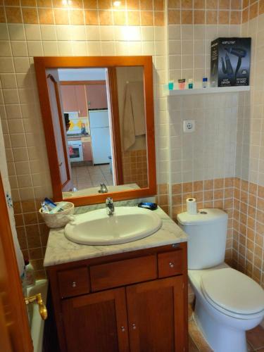 a bathroom with a sink and a toilet and a mirror at Apartamento PUERTO REY 2 in Vera