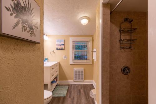 a bathroom with a shower and a toilet and a sink at Hot Toddy Cottage in Banner Elk
