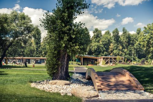 einen Park mit einer Holzbank unter einem Baum in der Unterkunft Unikátní Chalet 6 vířivka & bazén in Budweis