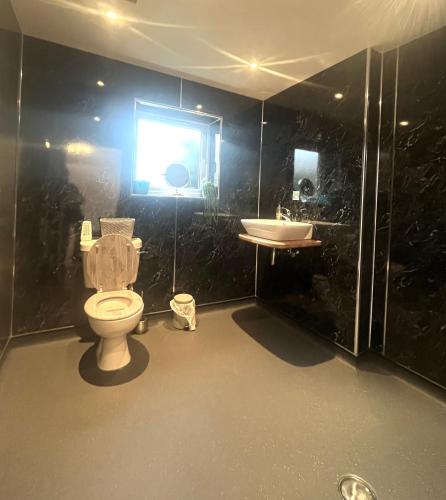 a bathroom with a toilet and a sink at The Annex - Penzance town centre with parking in Penzance