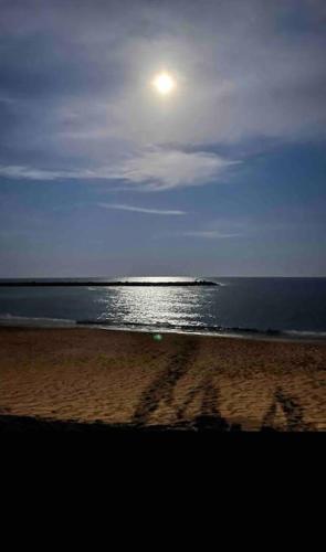 Photo de la galerie de l'établissement studio climatisé proche de Montpellier et des plages, à Villeneuve-lès-Maguelone