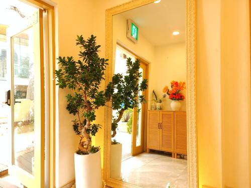 Gambar di galeri bagi OYO Myeongdong 5 Lodge di Seoul