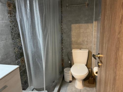 a bathroom with a toilet and a glass shower curtain at Πάρκο Γουδή in Athens