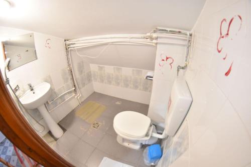 a small bathroom with a toilet and a sink at Piovra in Vama Veche