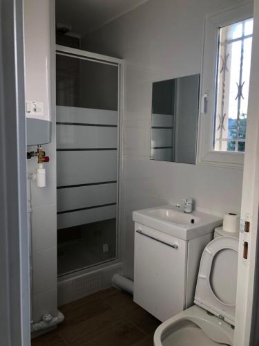 聖但尼的住宿－Studio lumineux，浴室配有卫生间、盥洗盆和淋浴。