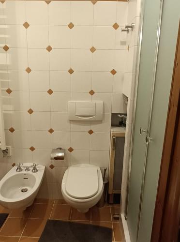 a bathroom with a toilet and a sink at SAM sulle piste in La Thuile