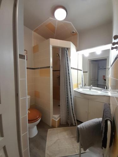 a bathroom with a toilet and a sink and a tub at Chambre d'hôtes indépendante in Fougères