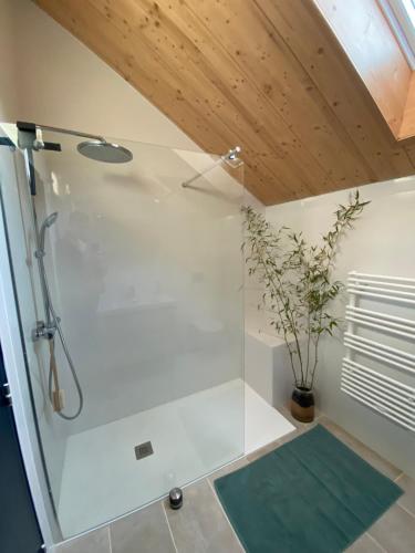 a bathroom with a shower and a green rug at Le Pied du Loup - Maison de village clunisois au calme 6-7 personnes in Flagy