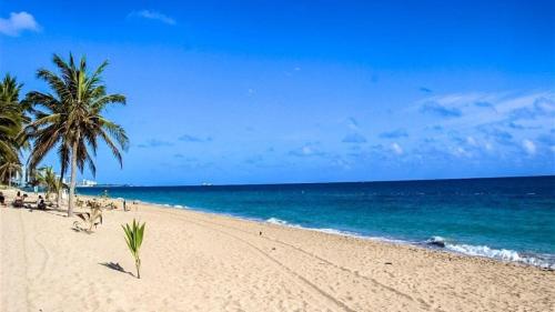 a beach with a palm tree and the ocean at KASA Seahorse of the Sea - Studio for 2 BEACH BLOCK in San Juan