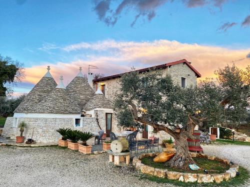 a stone house with a tree in front of it at Trulli Caroli in Locorotondo
