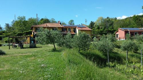 a house in a field with a yard with trees at Sostio a Levante in Framura