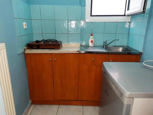 a small kitchen with a sink and a sink at Villa Estelle in Paralia Katerinis