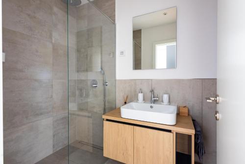 La salle de bains est pourvue d'un lavabo et d'une douche en verre. dans l'établissement In The Sky - Apartment West 65 Tower, à Belgrade