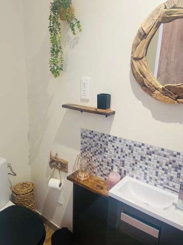 a bathroom with a sink and a mirror on the wall at Le Nid Douillet in Plancher-Bas