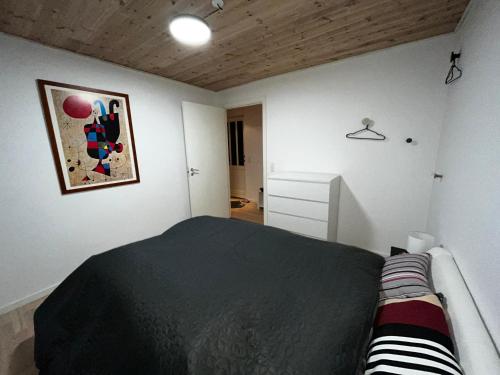 格斯廷的住宿－Hyggelig lejlighed i Rinkenæs，卧室配有一张床,墙上挂有绘画作品