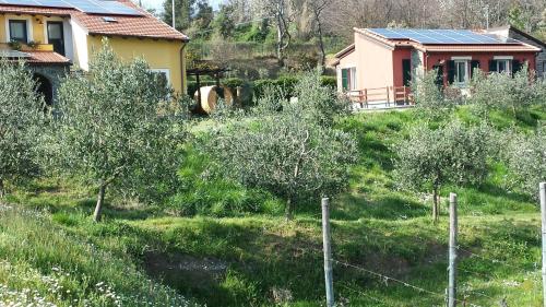 a house on a hill with trees in front of it at Sostio a Levante in Framura