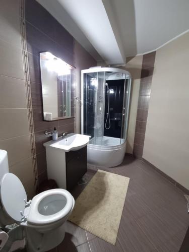a bathroom with a toilet and a sink and a shower at PENSIUNEA LUXURY in Vama