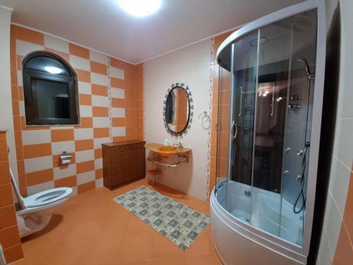 PENSIUNEA LUXURY في فاما: حمام مع دش ومرحاض ومغسلة