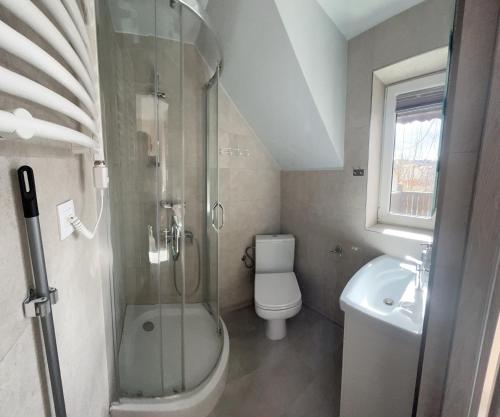 a bathroom with a shower and a toilet and a sink at Nad Strumykiem 2 in Duszniki Zdrój
