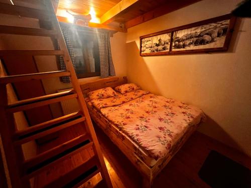 a small bedroom with a bunk bed and a ladder at Tara Place - Camp Rabrenovic in Mojkovac