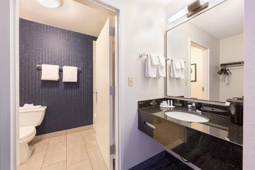 a bathroom with a sink and a toilet and a mirror at Fairfield Inn & Suites by Marriott Chicago Naperville in Naperville