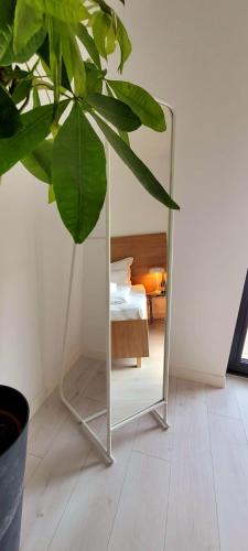a mirror in a room with a plant at BAST 17 DOM duży parking , Mandoria , PTAK , 2 Sypialnie lub 1 sypialnia, taras , Autostrada A1, Kalinowskiego 17E WIFI in Łódź