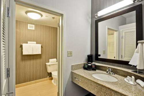 a bathroom with a sink and a mirror and a toilet at Courtyard Dallas Medical Market Center in Dallas